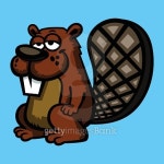 Cartoon Beaver 이미지 (484207758) - 게티이미지뱅크 Cartoon Beaver
