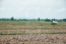 rice field 이미지 (502634240) - 게티이미지뱅크 rice field