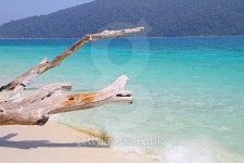 Beautiful sea 이미지 (472835470) - 게티이미지뱅크 Beautiful sea