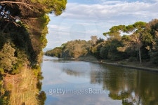 Channel of San Rossore Regional Park, Italy 이미지 (533349069) - 게티이미지뱅크 Channel of San Rossore Regional Park, Italy