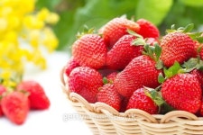 Fresh summer strawberries 이미지 (477335320) - 게티이미지뱅크 Fresh summer strawberries