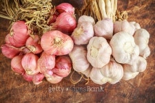 Garlic and onion organic on wooden background 이미지 (488149982) - 게티이미지뱅크 Garlic and onion organic on wooden background