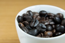 Coffee Seed 2 이미지 (500014976) - 게티이미지뱅크 Coffee Seed 2