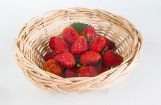 Strawberries in basket on a white background 이미지 (477984864) - 게티이미지뱅크 Strawberries in basket on a white background