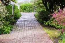 Garden path through the woods 이미지 (465027814) - 게티이미지뱅크 Garden path through the woods