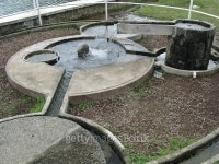 Fuente y vaso 이미지 (487233614) - 게티이미지뱅크 Fuente y vaso