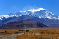 쿤루웨이 | Cho Oyu and several Himalayan peaks. Tibet. 1927 이미지 (501121892) - 게티이미지뱅크 Cho Oyu and several Himalayan peaks....