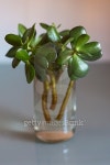 커팅웍스(cutting works) | cuttings 이미지 (488975988) - 게티이미지뱅크 cuttings