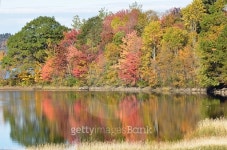 Fall Splendor 이미지 (497629102) - 게티이미지뱅크 Fall Splendor