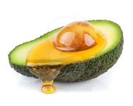 isolated avocado with oil 이미지 (471817844) - 게티이미지뱅크 isolated avocado with oil