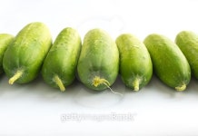 Cucumber line isolated on white background 이미지 (499595916) - 게티이미지뱅크 Cucumber line isolated on white background