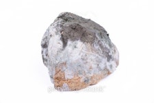 Mouldy bread 이미지 (486158814) - 게티이미지뱅크 Mouldy bread