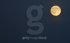 Full Moon 이미지 (475672244) - 게티이미지뱅크 Full Moon