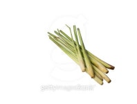 lemon grass on isolated 이미지 (487525008) - 게티이미지뱅크 lemon grass on isolated