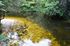 Yellow River 이미지 (487323948) - 게티이미지뱅크 Yellow River