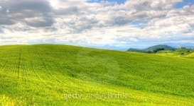 green grass field landscape under blue sky in spring 이미지 (501648546) - 게티이미지뱅크 green grass field landscape under... 