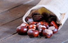 Chestnuts. 이미지 (532787917) - 게티이미지뱅크 Chestnuts.