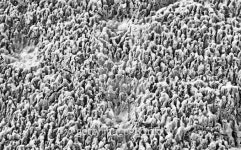 Dried ground textures in summer time 이미지 (471059688) - 게티이미지뱅크 Dried ground textures in summer time