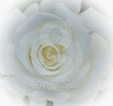 As Sweet As 이미지 (464966798) - 게티이미지뱅크 As Sweet As