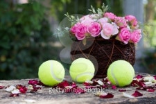 tenis ball 이미지 (482588024) - 게티이미지뱅크 tenis ball