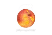 Beautiful red-yellow peaches close-up on a white background. 이미지 (491278758) - 게티이미지뱅크 Beautiful red-yellow... 