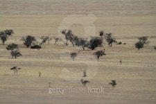 Die Savanne in Namibia 이미지 (492919606) - 게티이미지뱅크 Die Savanne in Namibia