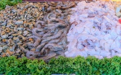 Raw seafood 이미지 (490922446) - 게티이미지뱅크 Raw seafood