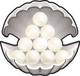 Shell with pearl illustration 이미지 (488786770) - 게티이미지뱅크 Shell with pearl illustration