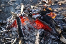 Close up of an outdoor fire burning. 이미지 (477343536) - 게티이미지뱅크 Close up of an outdoor fire burning.