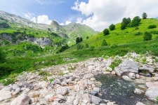 Brook in the North Caucasus. 이미지 (487334472) - 게티이미지뱅크 Brook in the North Caucasus.