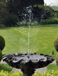 Bird Bath 이미지 (502545748) - 게티이미지뱅크 Bird Bath