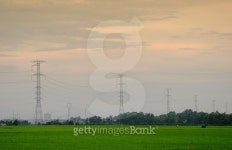 Rice field with high voltage power pylons 이미지 (475046008) - 게티이미지뱅크 Rice field with high voltage power pylons