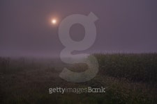 Hick Farmland 이미지 (489735712) - 게티이미지뱅크 Hick Farmland