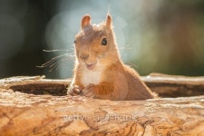 happy place 이미지 (496066698) - 게티이미지뱅크 happy place