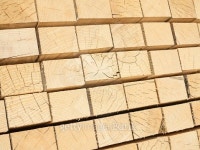 Fresh wooden studs 이미지 (477337876) - 게티이미지뱅크 Fresh wooden studs