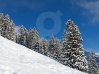 Skiing slope 이미지 (466125534) - 게티이미지뱅크 Skiing slope