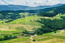 Hill and vineyards, Beaujolais, France 이미지 (483611302) - 게티이미지뱅크 Hill and vineyards, Beaujolais, France
