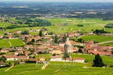 View of Fleurie village and vineyards, Beaujolais, France 이미지 (483640218) - 게티이미지뱅크 View of Fleurie village and... 