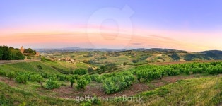 After the sunset, panorama of vineyards of Beaujolais, France 이미지 (480789946) - 게티이미지뱅크 After the sunset, panorama... 