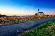 Church and vineyards of Saint Laurent dOingt during sunrise, Beaujolais 이미지 (502104002) - 게티이미지뱅크 Church and... 