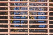 Steel grating cover 이미지 (467454828) - 게티이미지뱅크 Steel grating cover