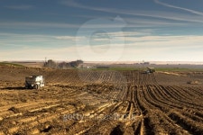 Potato Harvest 이미지 (497785646) - 게티이미지뱅크 Potato Harvest