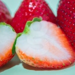 sliced strawberry fruit isolated on green background, pop art co 이미지 (487424312) - 게티이미지뱅크 sliced strawberry fruit... 