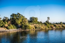 Nature of the Nile river in Egypt 이미지 (479550910) - 게티이미지뱅크 Nature of the Nile river in Egypt