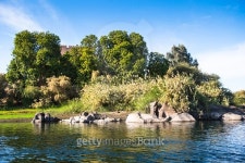 Nature of the river Nile 이미지 (467508994) - 게티이미지뱅크 Nature of the river Nile