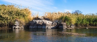 Nature of the river Nile 이미지 (467509084) - 게티이미지뱅크 Nature of the river Nile