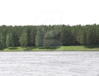 Picturesque forest and the river 이미지 (478554418) - 게티이미지뱅크 Picturesque forest and the river