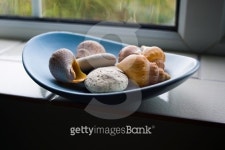 Sea shells in a bowl 이미지 (533070351) - 게티이미지뱅크 Sea shells in a bowl
