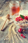 Healthy breakfast with muesli, fresh berries, crispbread, honey 이미지 (481111764) - 게티이미지뱅크 Healthy breakfast with... 