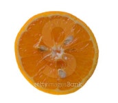 orange 이미지 (473749872) - 게티이미지뱅크 orange